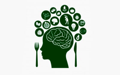 5 tipos de alimentos que ayudan a tu cerebro